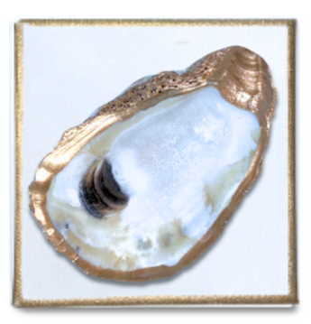 Gold Gilded Oyster on Canvas