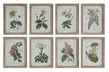 Load image into Gallery viewer, Botanical Prints

