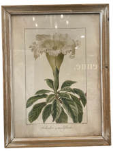Load image into Gallery viewer, Botanical Prints

